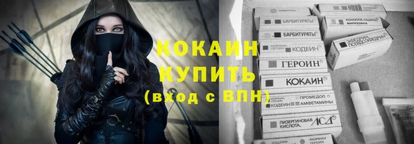 прущие грибы Краснотурьинск
