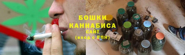 прущие грибы Краснотурьинск