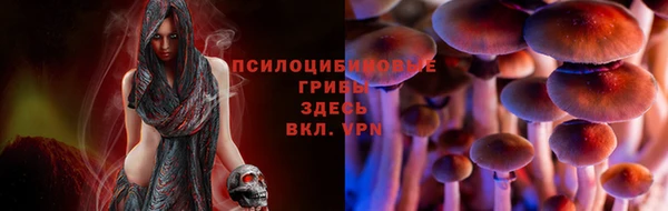 каннабис Коряжма