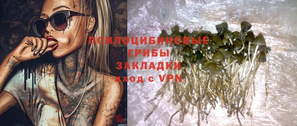 прущие грибы Краснотурьинск