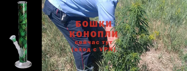 ALPHA PVP Козловка